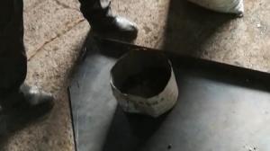 文冠果剥壳视频
